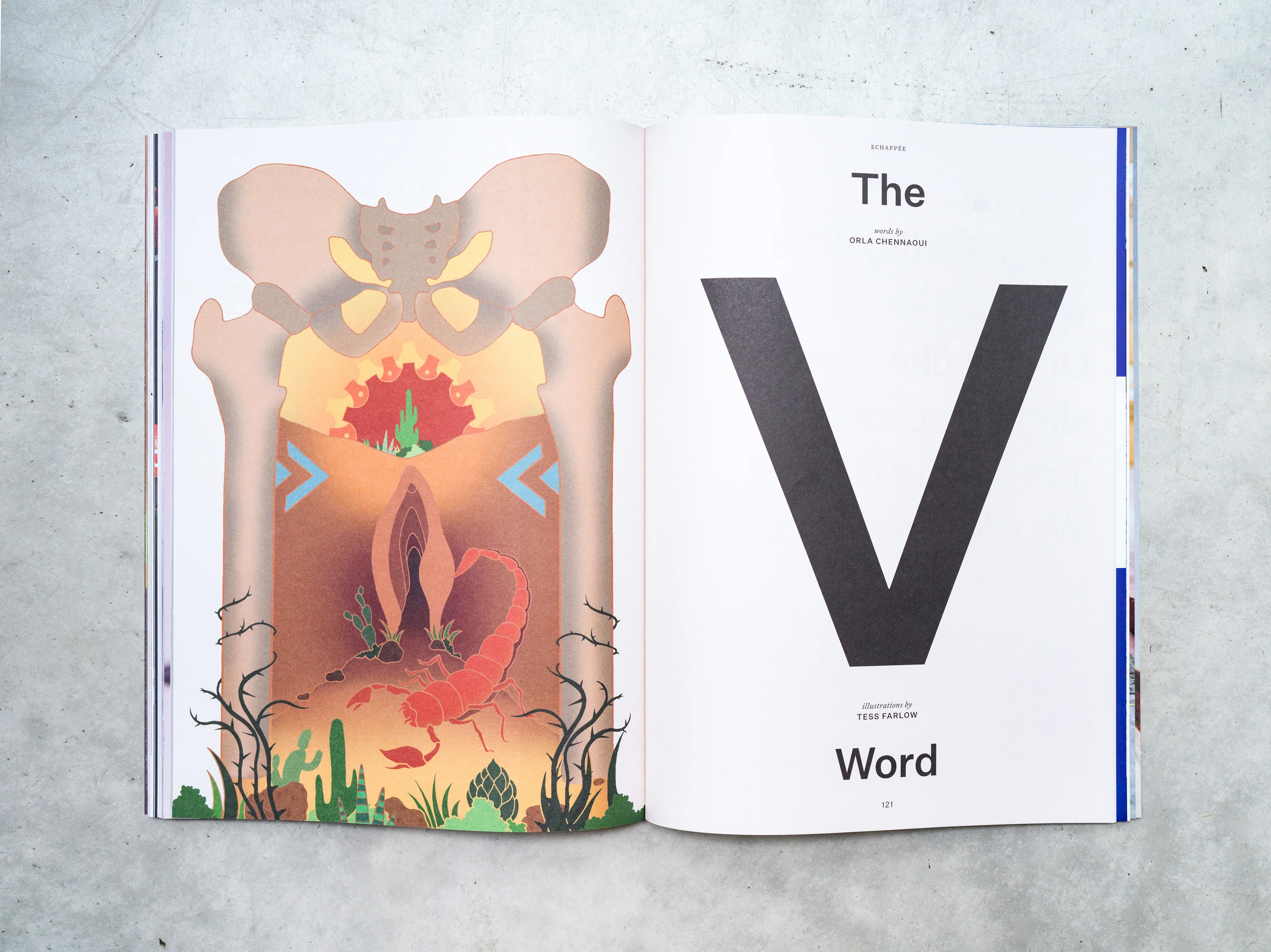 Issue 101 - Women's Special - Image 6