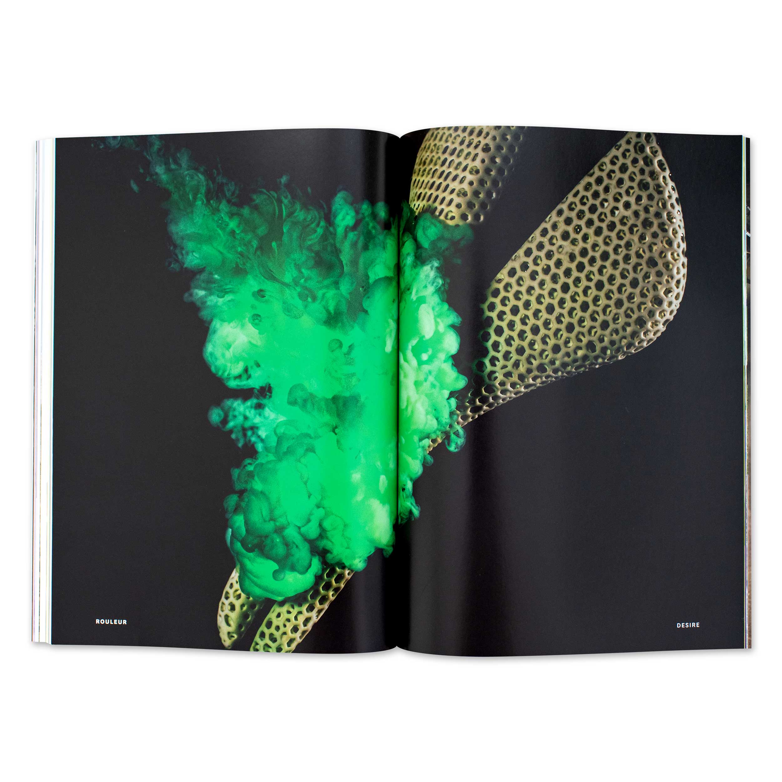 Issue 20.4 - Image 10