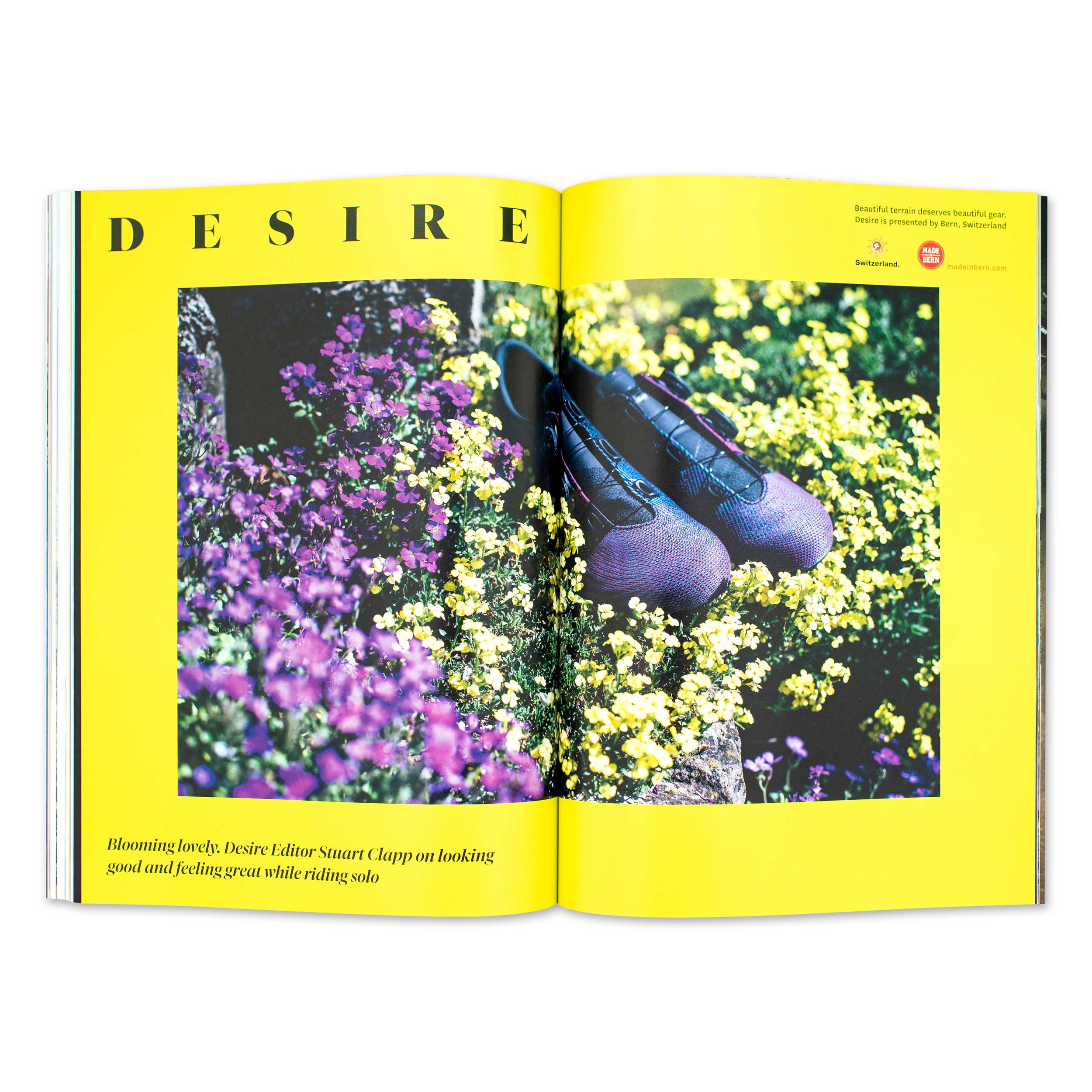 Issue 20.4 - Image 13